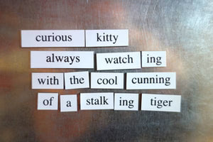 Cat Lover Magnetic Poetry Game