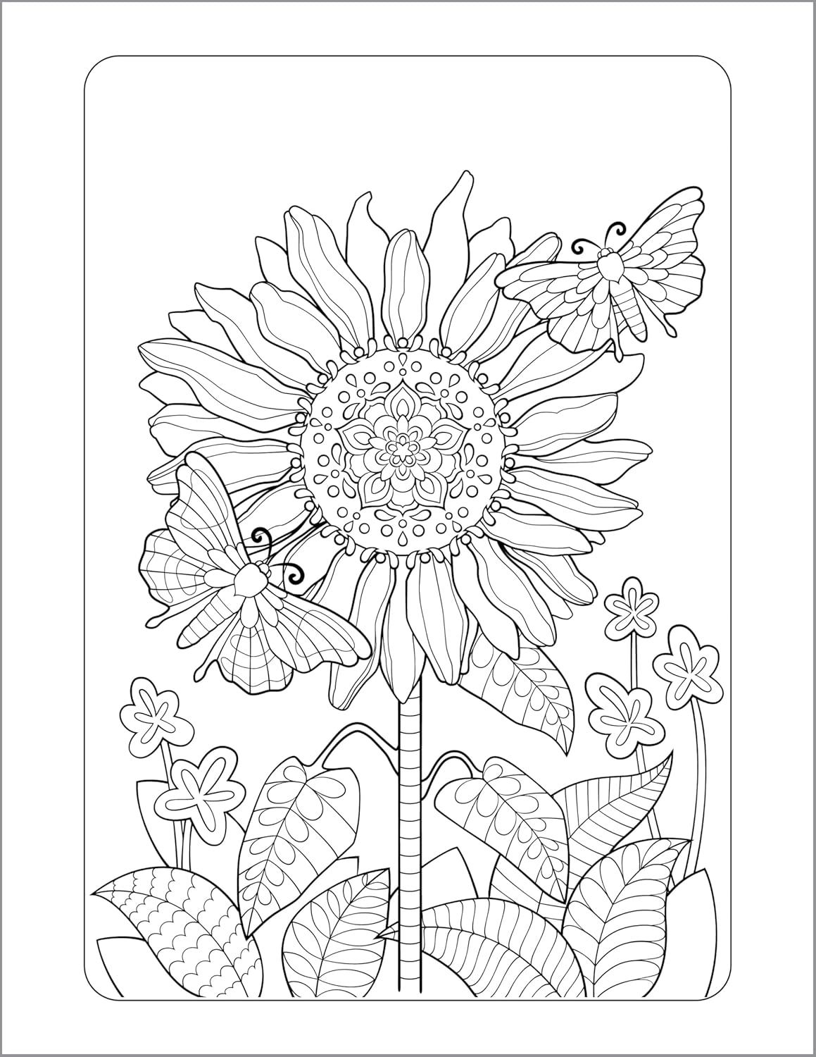 Anxiety Relief Coloring Book for Adults