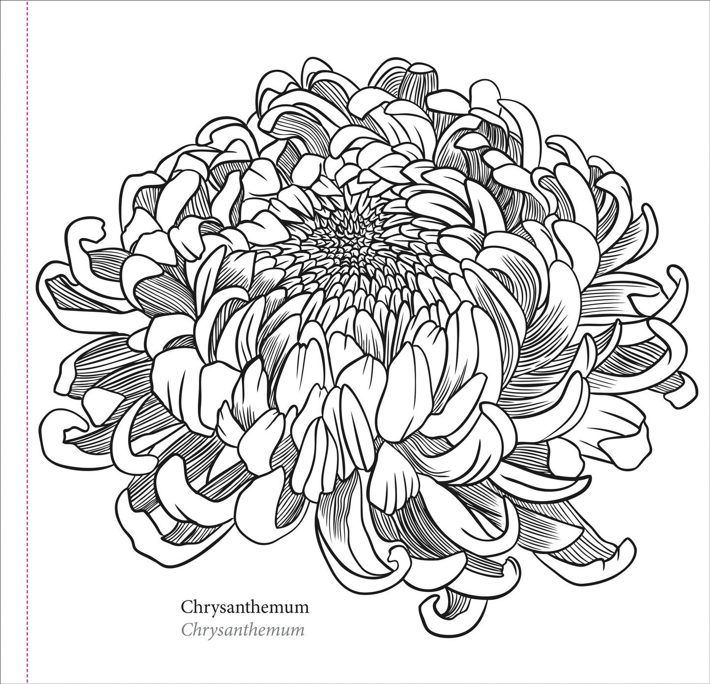 Spring Blooms Artist's Colouring Book