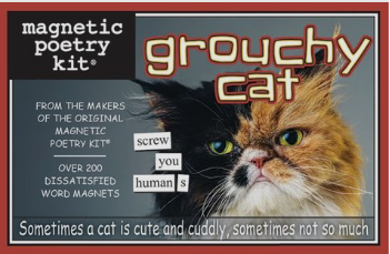 Grouchy Cat Magnetic Poetry Game