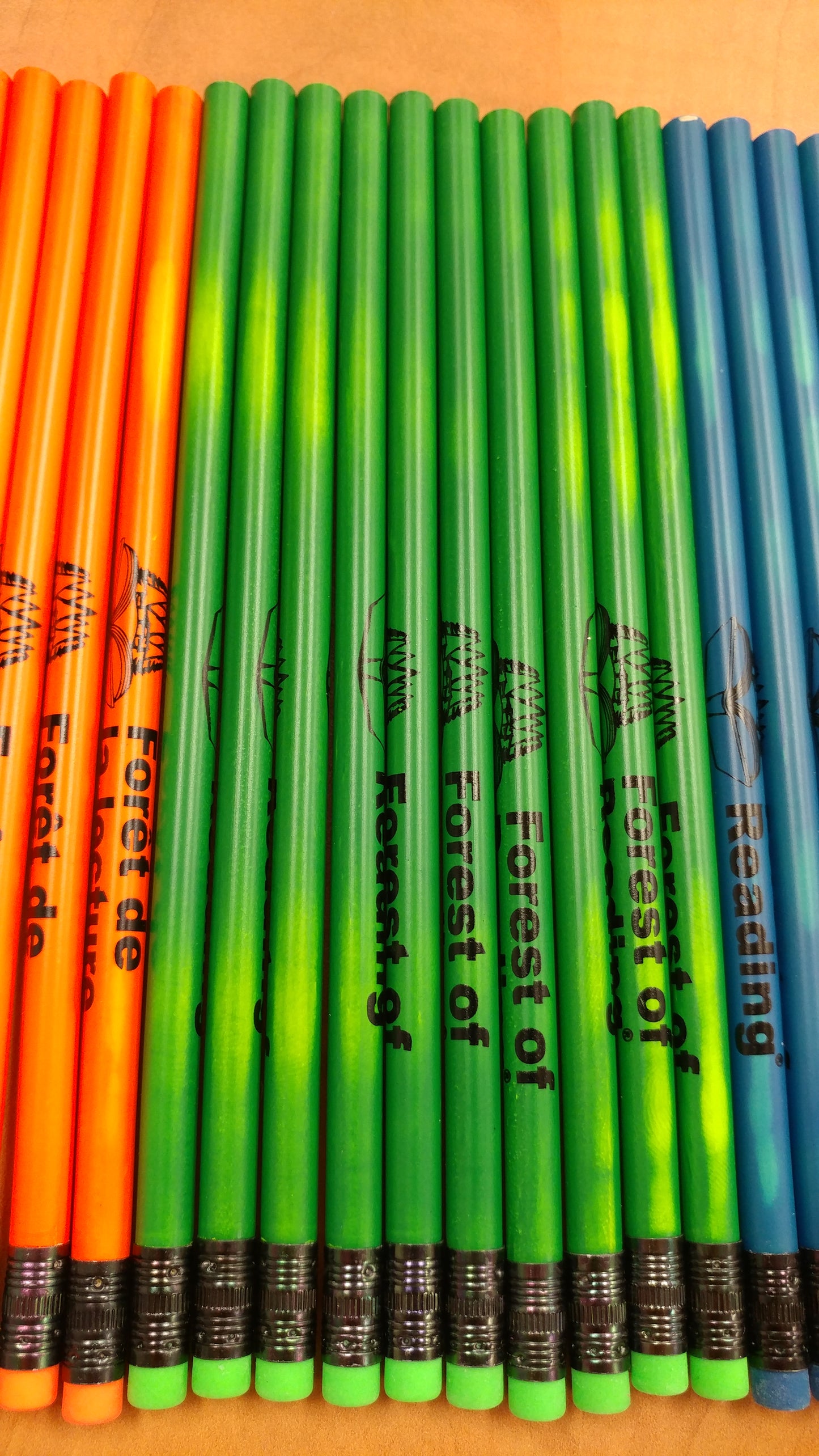 Forest of Reading/Forêt de la lecture Mood Pencils (10/Pack)