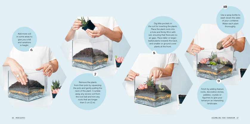 Miniscapes: Create Your Own Terrarium
