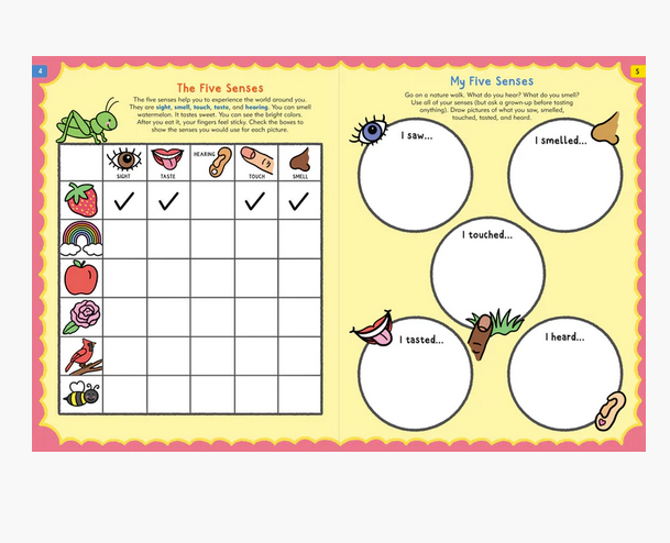 The Nature Explorer's Activity Book