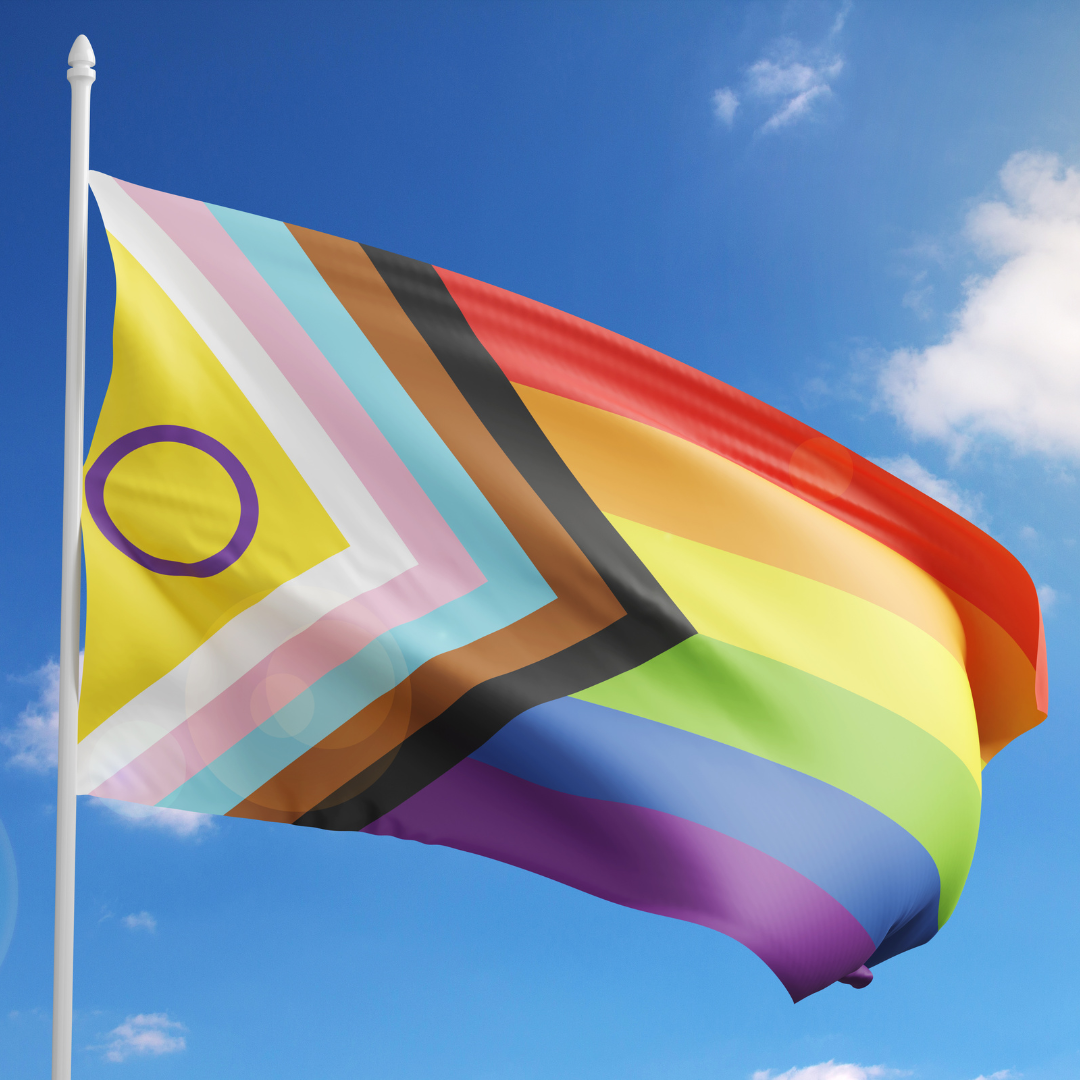 Celebrate Pride Everyday