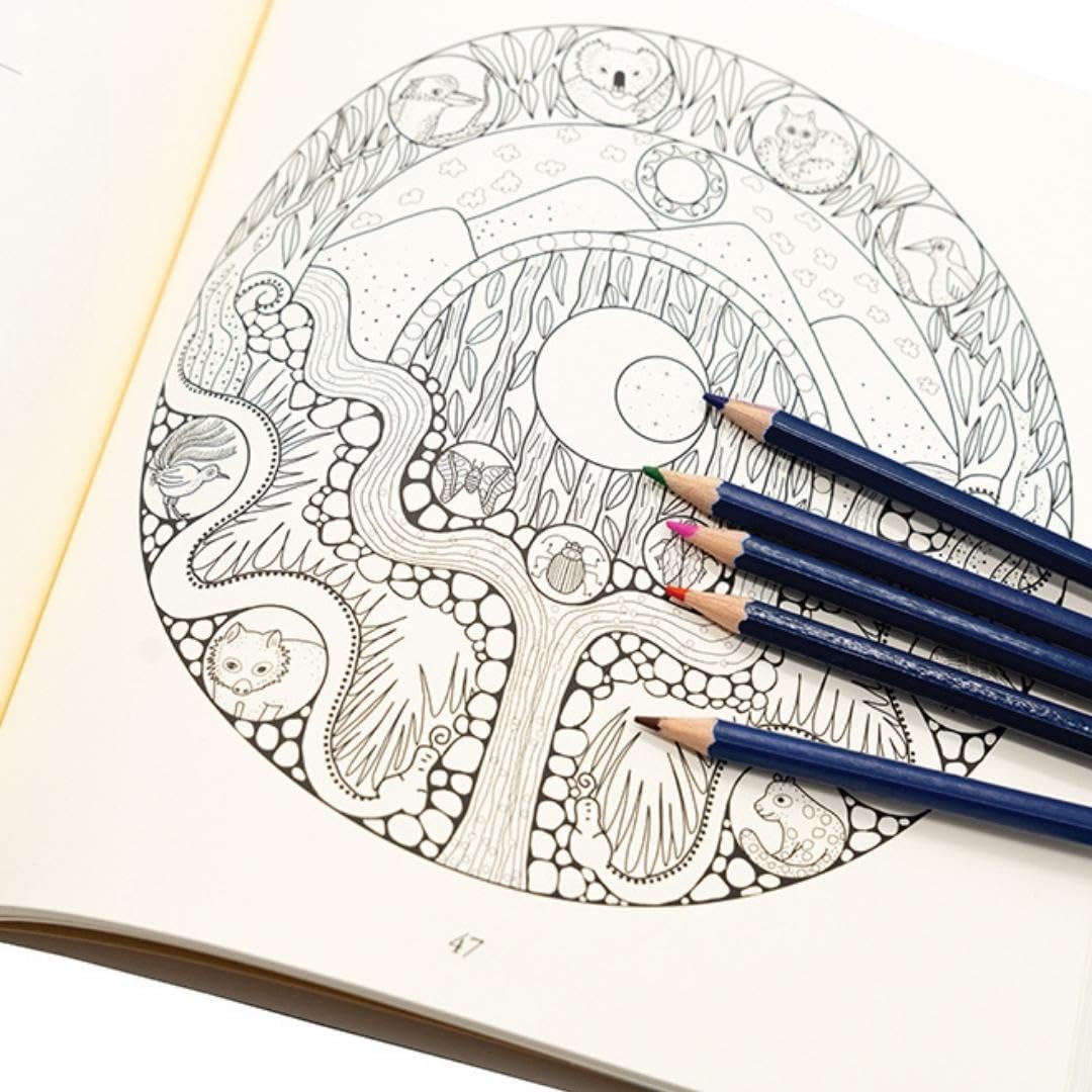 Magic Mandala Coloring Book