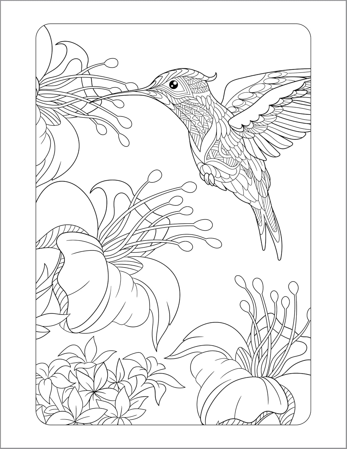 Anxiety Relief Coloring Book for Adults