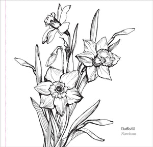 Spring Blooms Artist's Colouring Book
