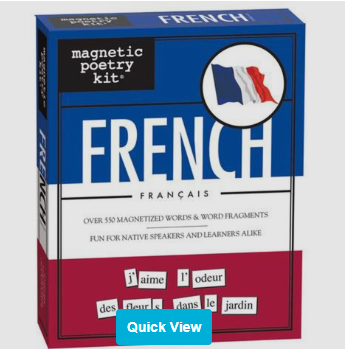 French Magnetic Poetry Game