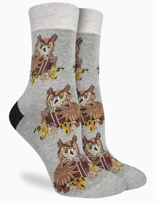 Book Owl Socks