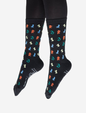 Harry Potter Hogwarts House Socks