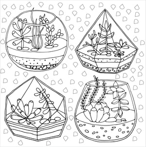 Succulents Adult Colouring Book
