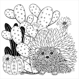 Succulents Adult Colouring Book