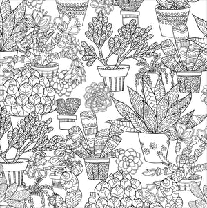 Succulents Adult Colouring Book