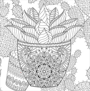 Succulents Adult Colouring Book