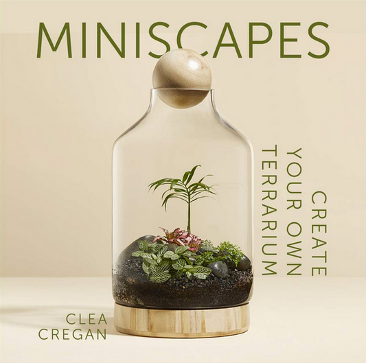 Miniscapes: Create Your Own Terrarium