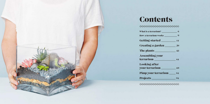 Miniscapes: Create Your Own Terrarium