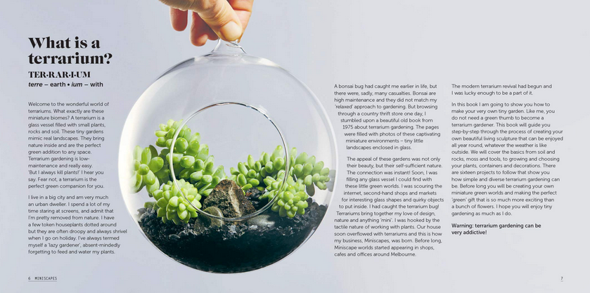 Miniscapes: Create Your Own Terrarium