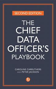 The Chief Data Officer's Playbook, Second Edition